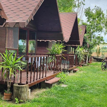 Pensiunea Delta D.M.Y. Mahmudia Exterior foto